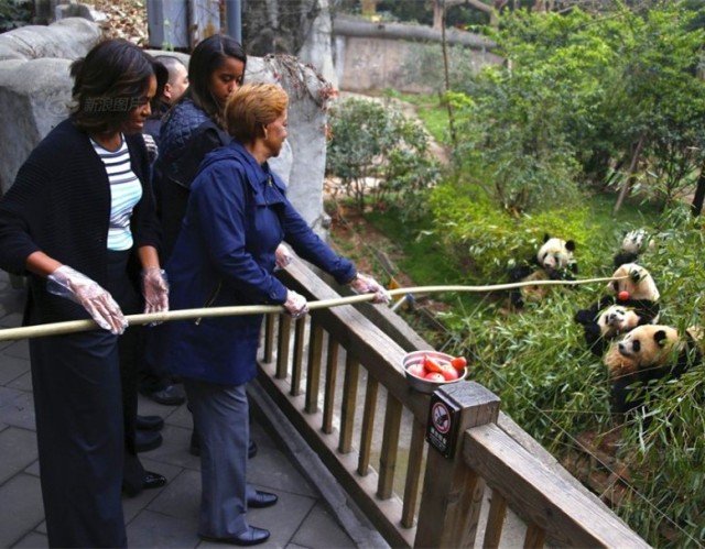 Michelle Obama with Giant Panda in Chengdu